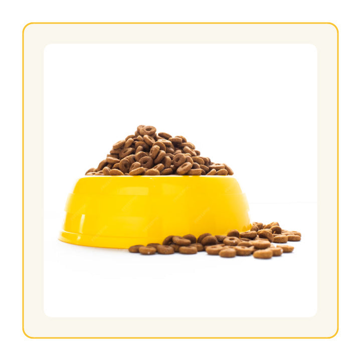 Pet Food