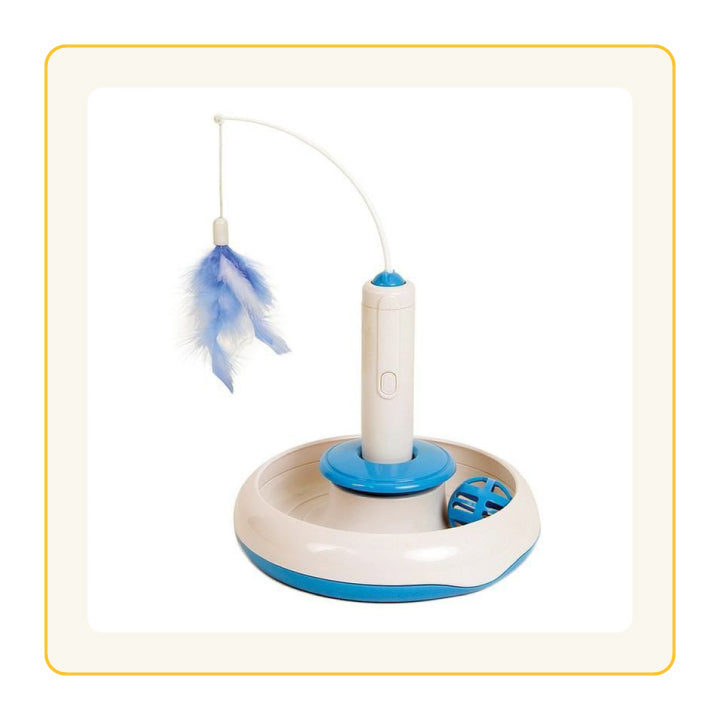 Pet Toy