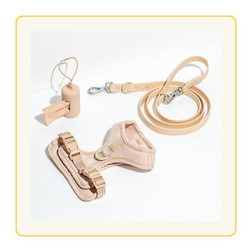 Pet Collars, Accessories