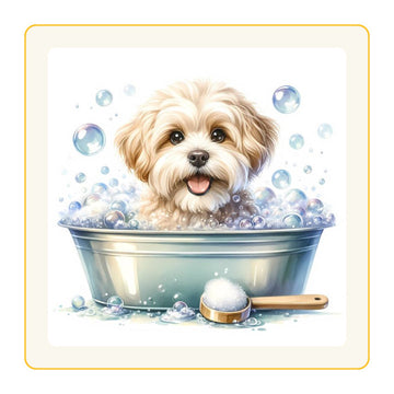 Pet Bath & Care