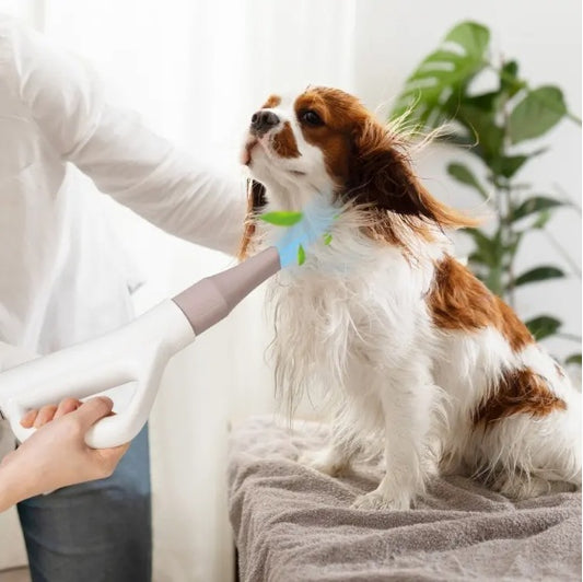 Pet Hair Blower – Dog & Cat Dryer with Negative Ion & Adjustable Temperature
