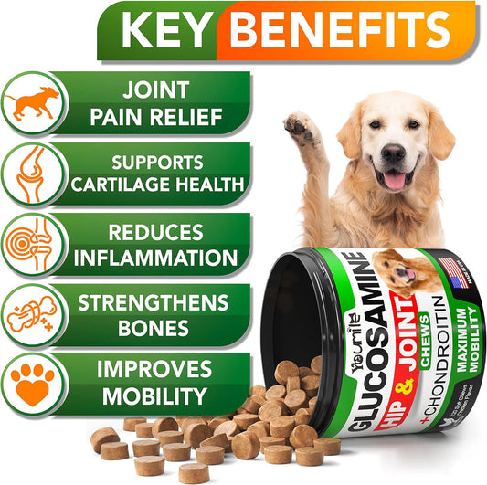 Pet Hip & Joint Supplement – Chondroitin for Dogs & Cats, Supports Mobility, Cartilage & Joint Health