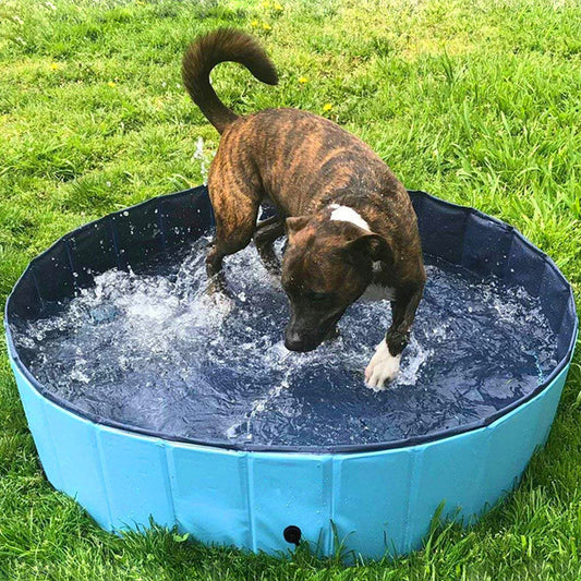 Foldable Pet Swimming Pool – Collapsible Bathing Tub for Dogs, Cats & Kids