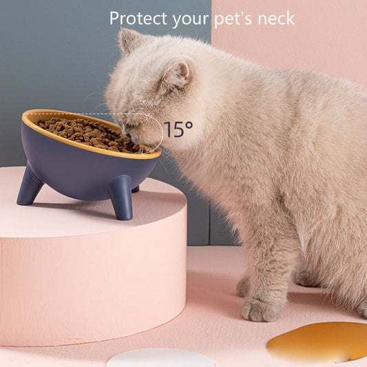 Cat & Dog Bowl with Stand – Nordic Color Pet Feeder for Dogs & Rabbits