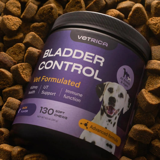 Dog UTI Treatment – Duck Flavor Cranberry Chews for Bladder, Urinary Tract & Kidney Health, Soft D-Mannose Treats for Healthy Bladder