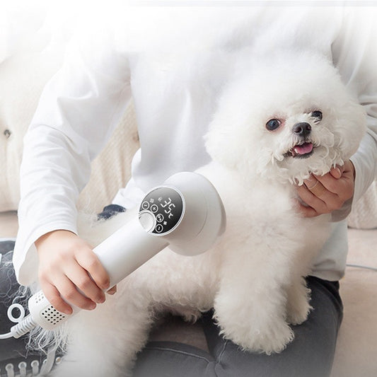 Smart Pet Hair Dryer – Silent Dog & Cat Grooming Blow Dryer with Comb, Safe Hairdressing & Cleaning Tool
