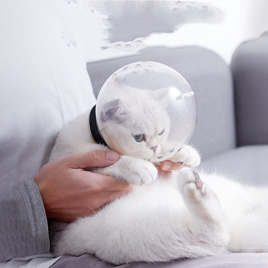 Pet Recovery Helmet – Anti-Lick & Anti-Bite Head Cover for Dogs & Cats