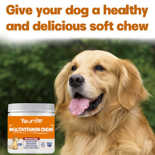 Pet Vitamin Multifunctional Health Care Products for Dogs – Immune Support, Joint Care & Overall Wellness Supplements