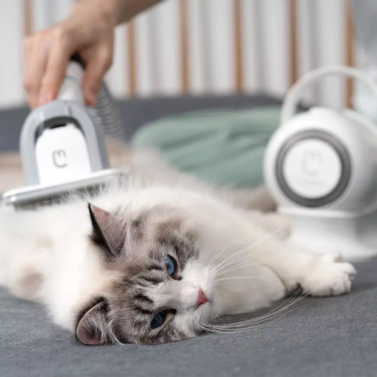 Pet Grooming Shaver with Vacuum – Smart Hair Trimmer & Fur Sucker for Dogs and Cats