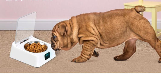 5G Automatic Pet Feeder Bowl – Smart Feeding for Dogs & Cats