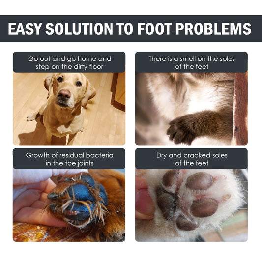 Dog Paw Care Mat – Foot Cleaning & Protection Solution