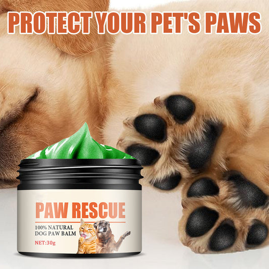 Pet Paw Care Cream – Foot Pad Protection & Moisturizing Oil for Dogs & Cats