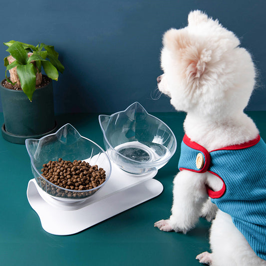Inclined Pet Bowl – Transparent Oblique-Mouth Food Bowl for Cats