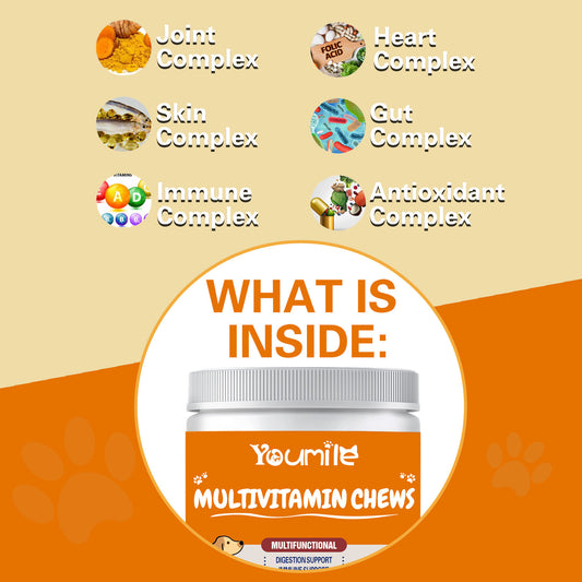 Pet Vitamin Multifunctional Health Care Products for Dogs – Immune Support, Joint Care & Overall Wellness Supplements