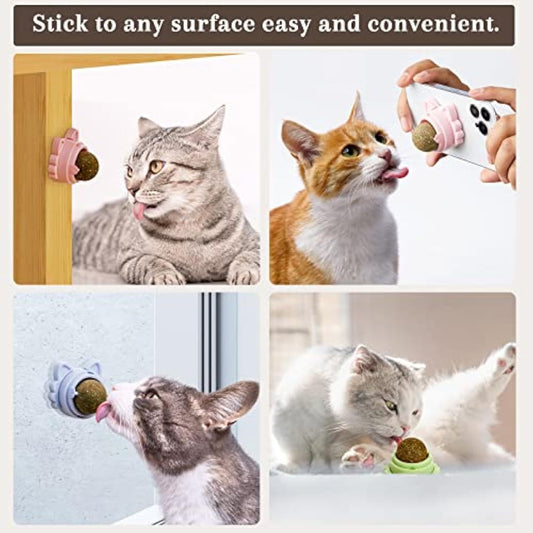 Catnip Balls That Stick on Wall – Healthy Cat Toys for Teeth Cleaning, Dental Chew & Wall Treats for Cats