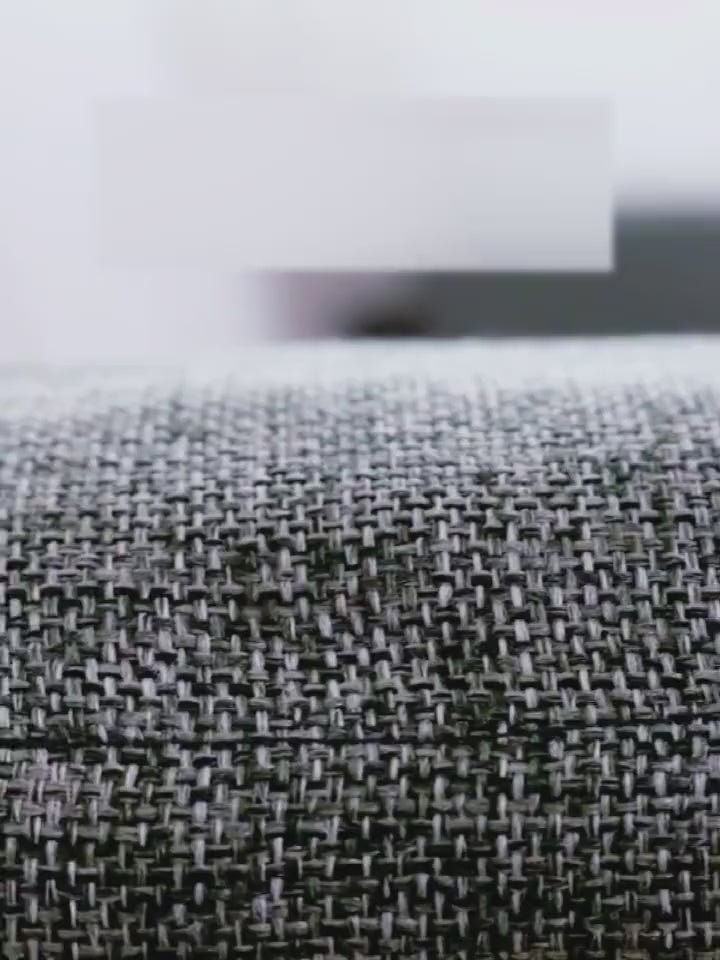 Cat Scratching Sofa